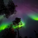 Wilderness & Igloos Inari