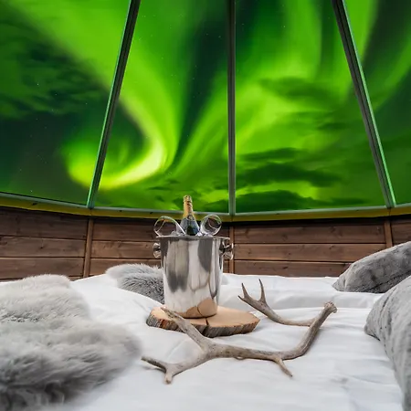 Wilderness & Igloos ホテル