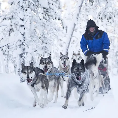 Otel Wilderness & Igloos Inari