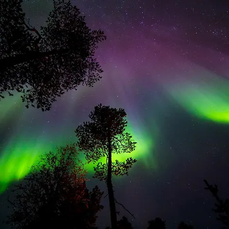 Wilderness & Igloos Inari