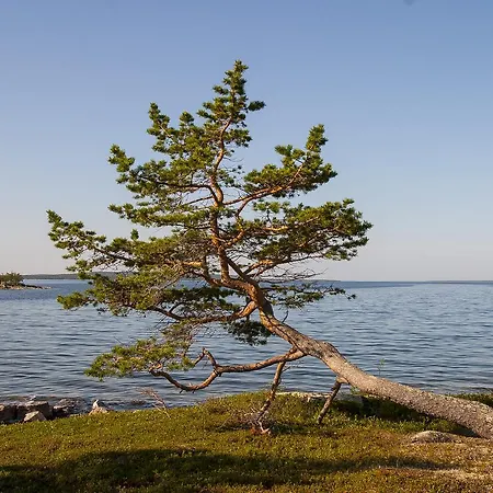 Wilderness & Igloos Отель