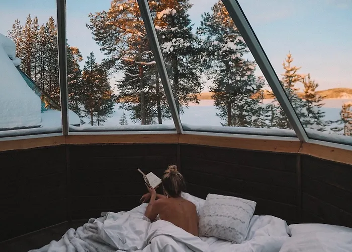 Wilderness & Igloos فندق