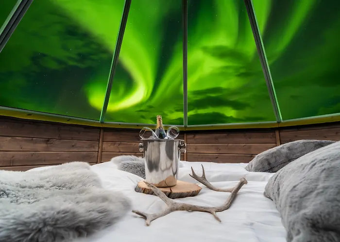 Wilderness & Igloos فندق