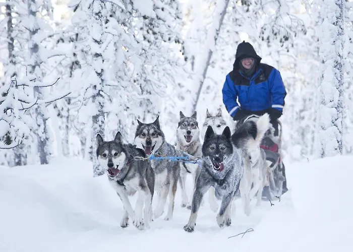 فندق Wilderness & Igloos إيناري