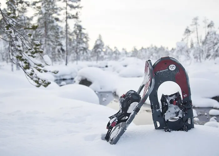 فندق Wilderness & Igloos