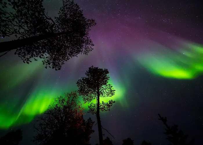 Wilderness & Igloos إيناري