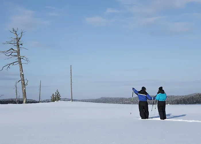 ホテル Wilderness & Igloos 4*